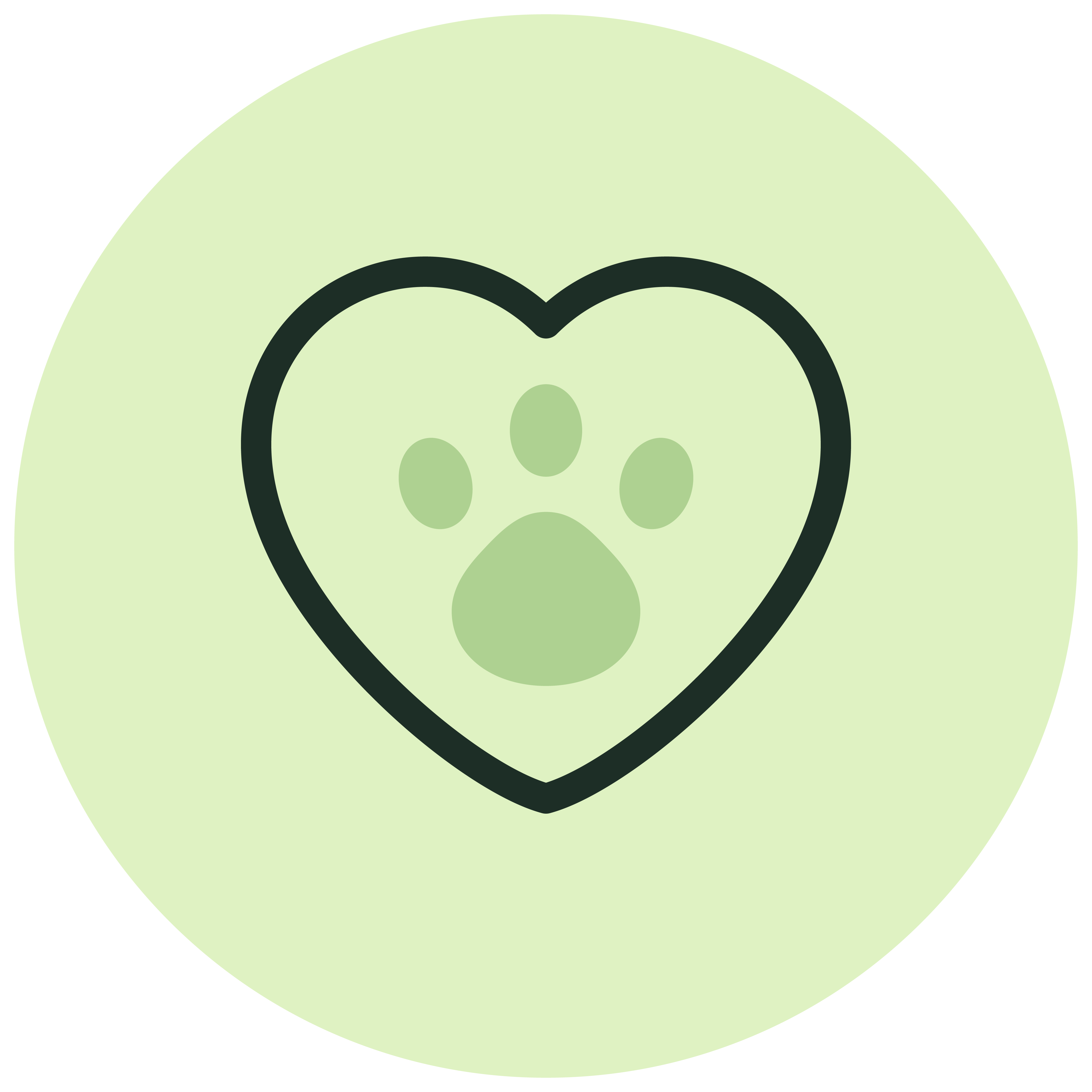 Icona gatto