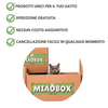Gatto Con Personalità MIAOBOX 1 - Scelta da noi