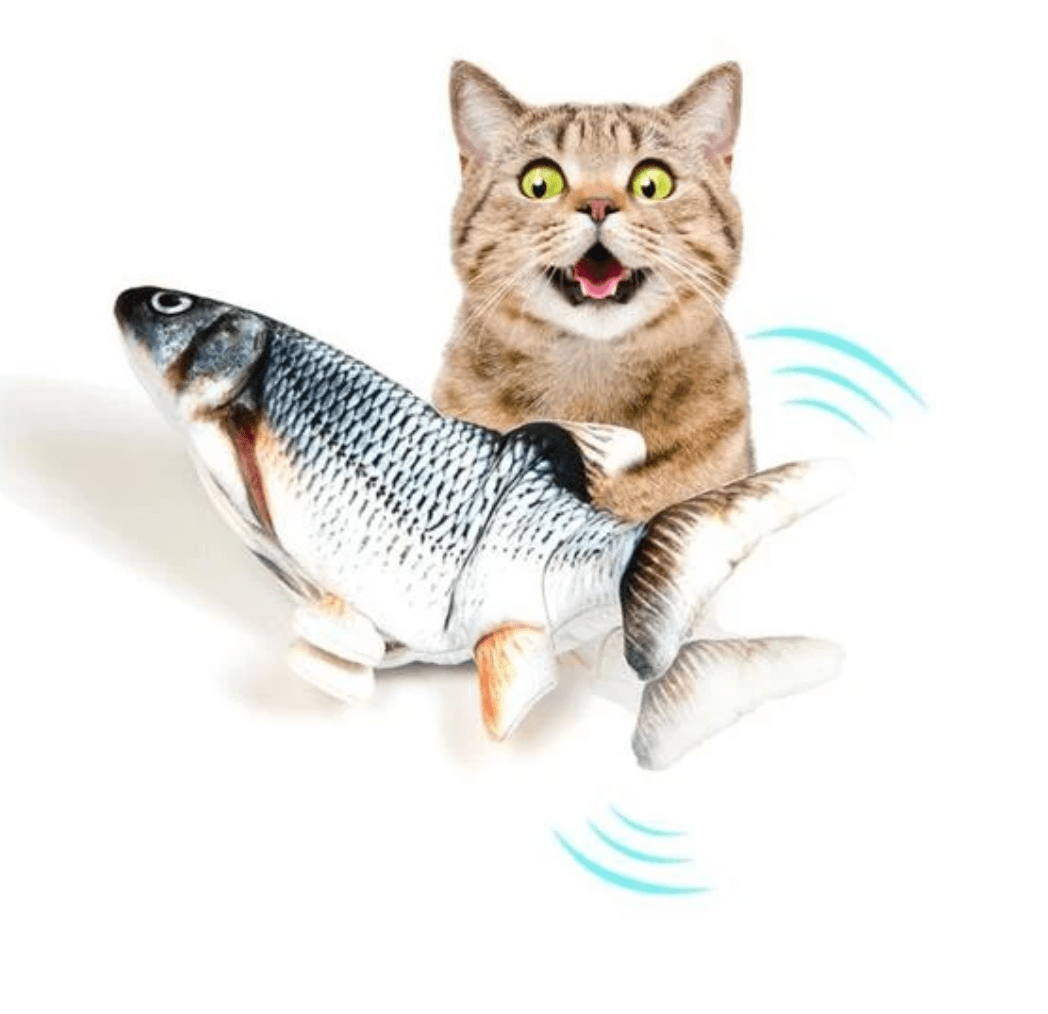 Gatto Con Personalità Pesce Ballerino™ Automatico per Gatti - Gioco per Gatti