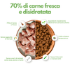 Gatto Con Personalità Box Prova Il Cibo di Beppo - Ricette Grain Free - Formulate senza grano e senza glutine - Alimento Completo