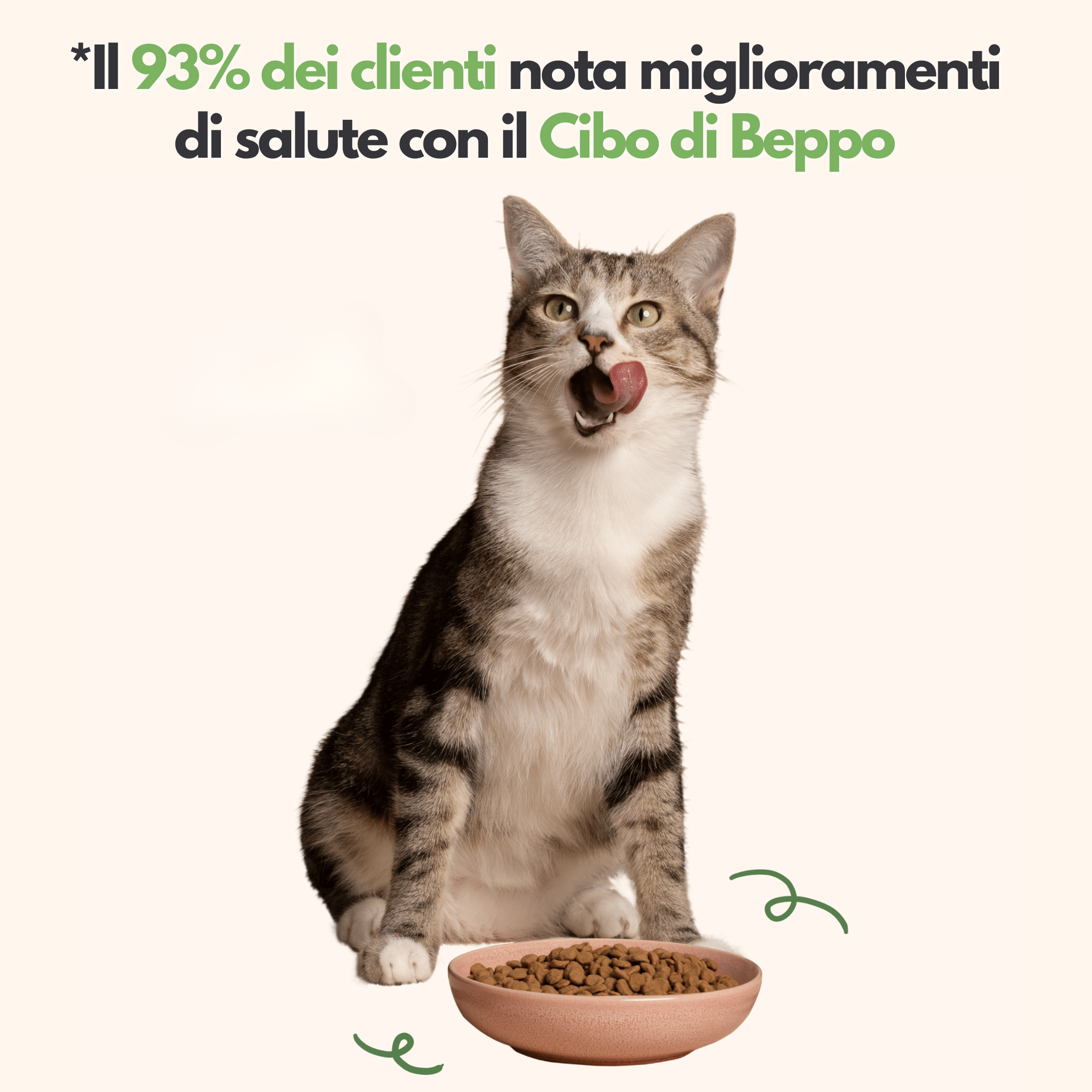 Gatto Con Personalità Box Prova Il Cibo di Beppo - Ricette Grain Free - Formulate senza grano e senza glutine - Alimento Completo