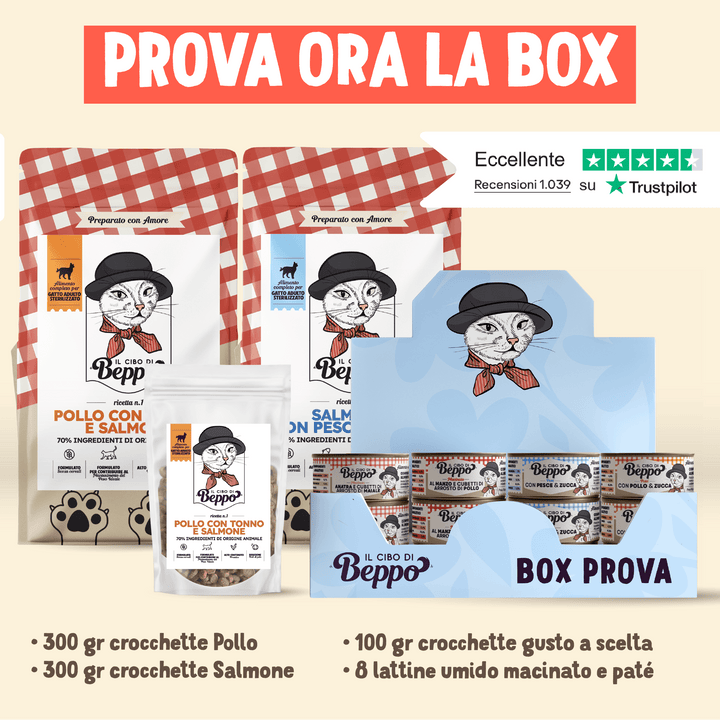 Cibo di Beppo Gatti: Crocchette Naturali Carne Fresca - Prodotto premium per entrambi | PetExclusive