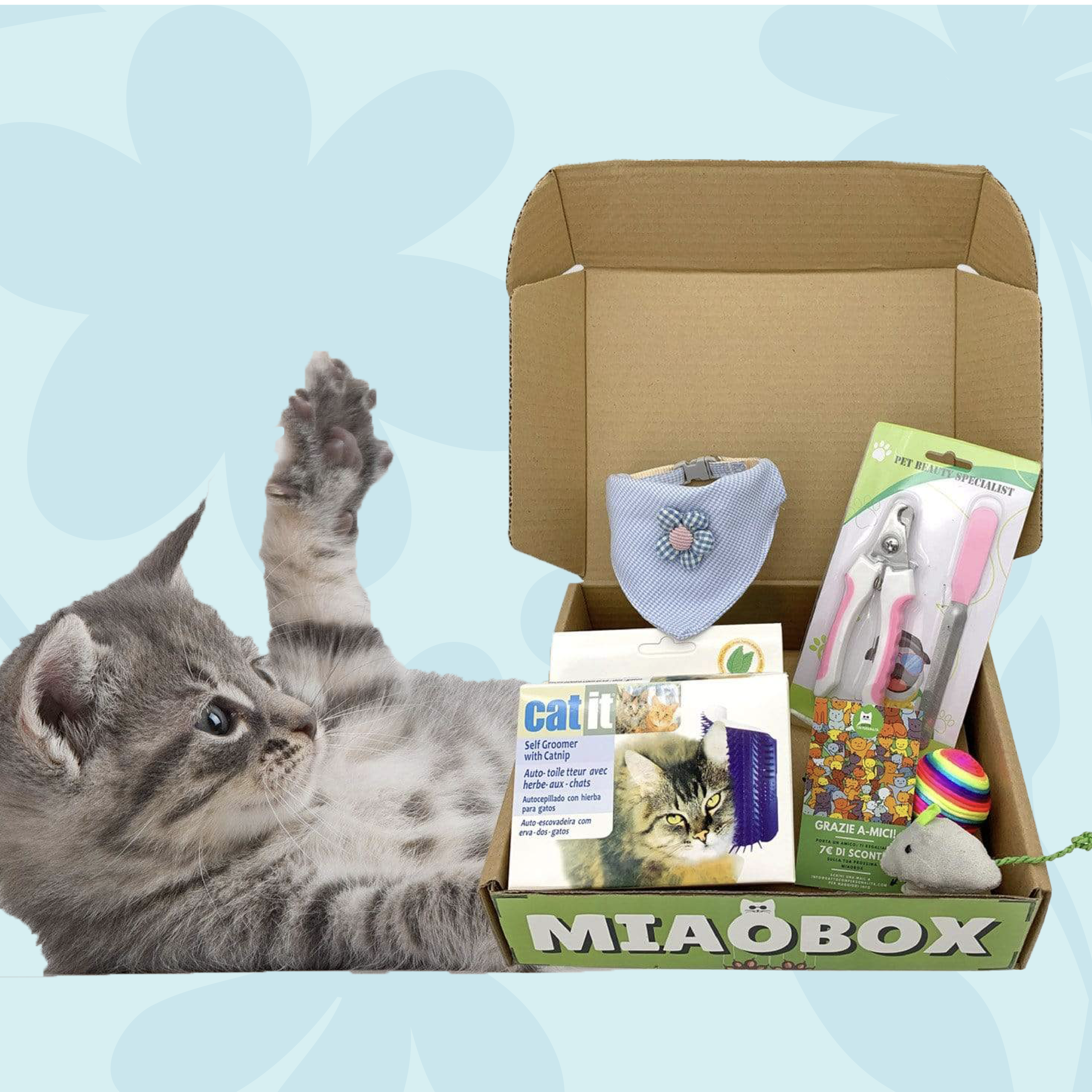 Gatto Con Personalità MIAOBOX 2 - Scelta da Beppo