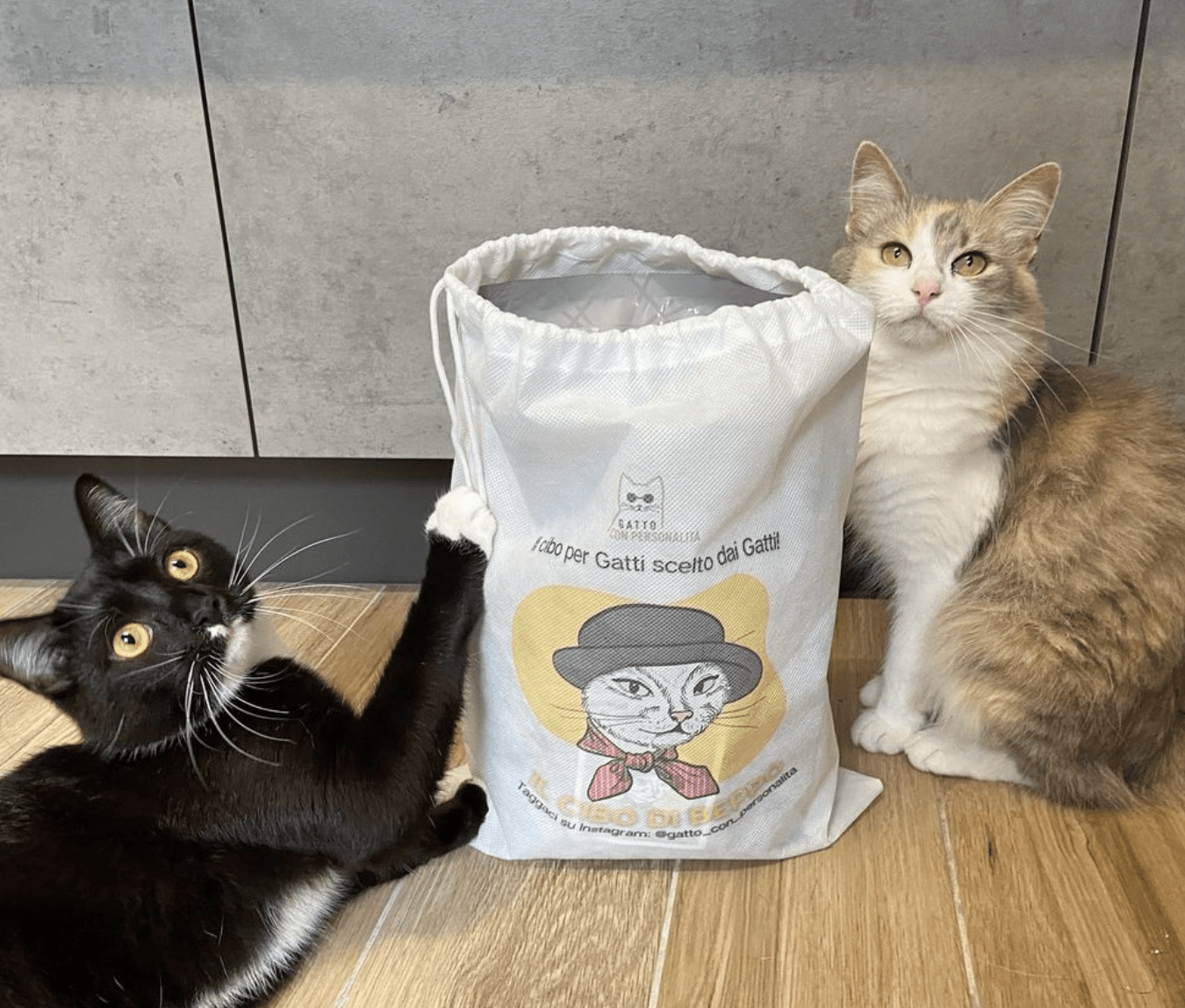 Gatto Con Personalità Tacchino e Pollo (1.5Kg) / 1.5 Kg Il Cibo di Beppo - Miglior Cibo per Gatto Adulto