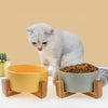 Gatto Con Personalità 20 x 9 cm Grigio Ciotole Rialzate per Gatti - Realizzate in Ceramica