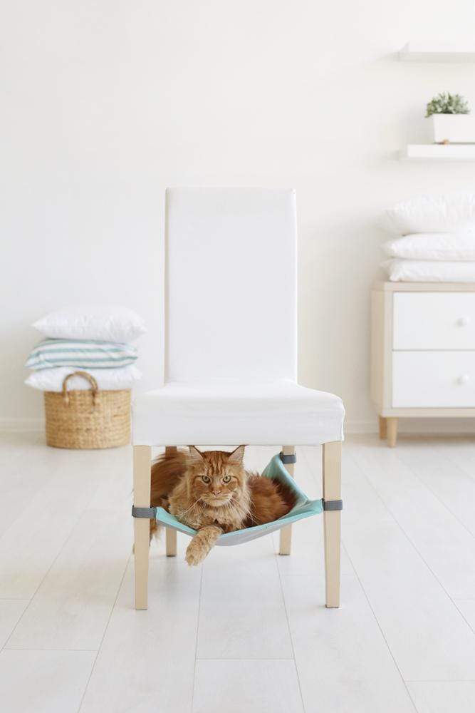 Gatto Con Personalità Azzurro Amaca per Gatti Salva Spazio - Facile da montare sotto la sedia
