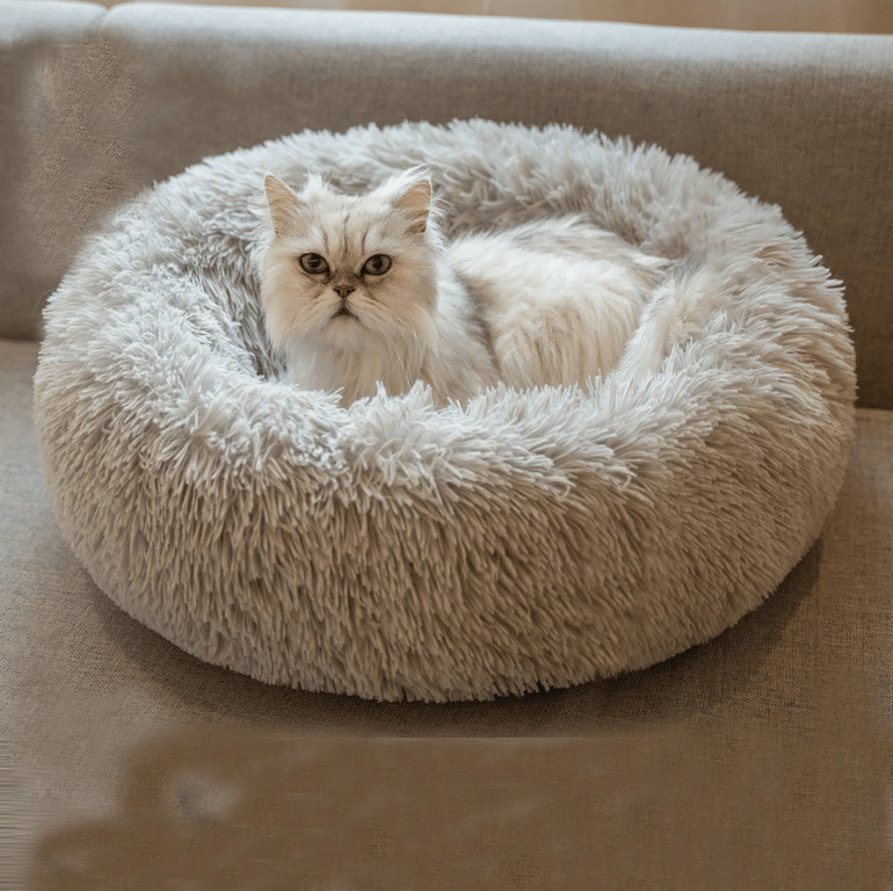 Gatto Con Personalità Cuscino Nuvola - Morbida Cuccia per Cani Pelosa