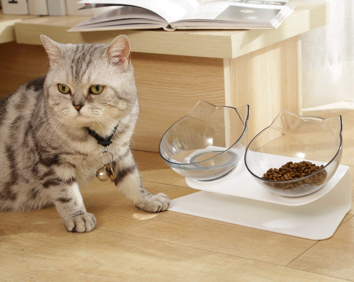Ciotole Rialzate per cibo Gatti - Anti Vomito - Gatto Con Personalità