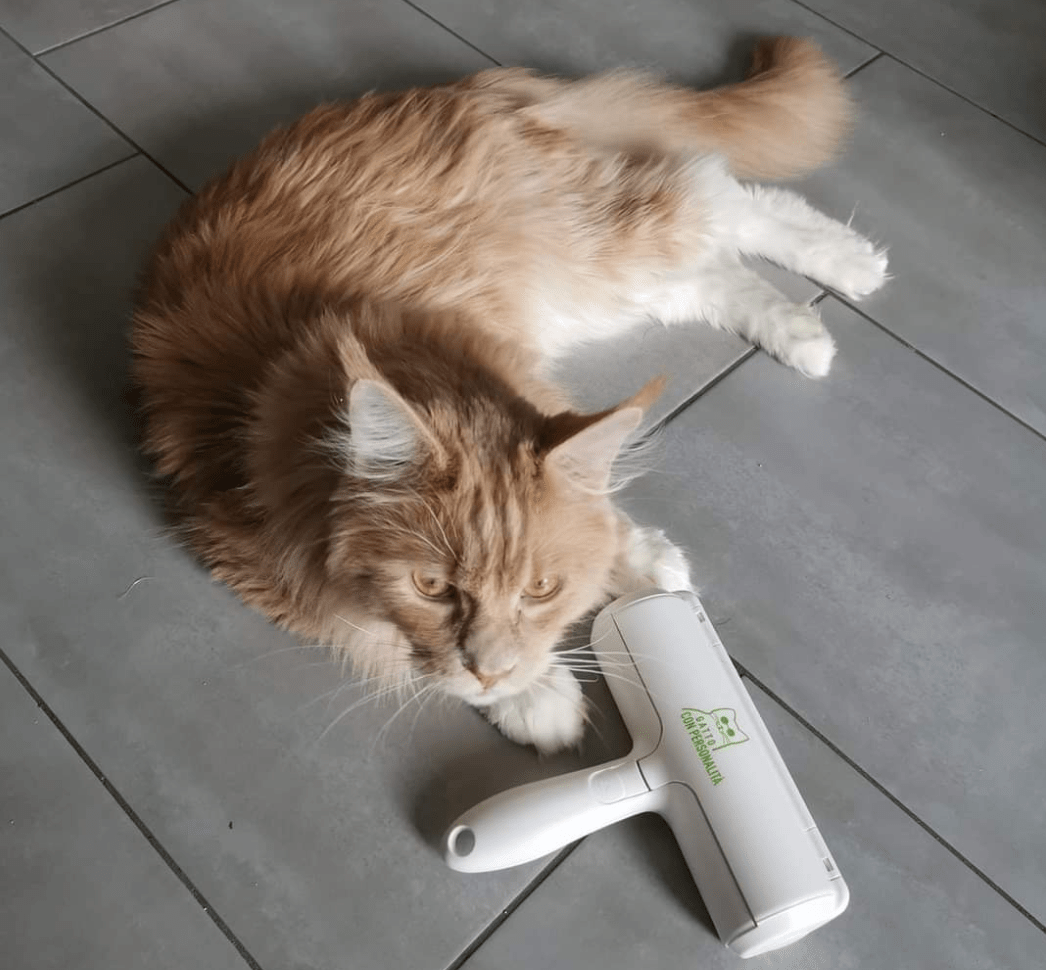Gatto Con Personalità Pet Spazzola Magica™ -  Rimuove Peli del Gatto/Cane da qualsiasi superficie