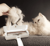 Carica l&#39;immagine nel visualizzatore Galleria, Gatto Con Personalità Pet Spazzola Magica™ -  Rimuove Peli del Gatto/Cane da qualsiasi superficie