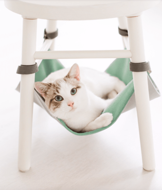 Gatto Con Personalità Verde Amaca per Gatti Salva Spazio - Facile da montare sotto la sedia